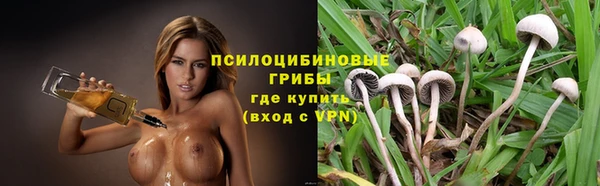 спиды Алзамай