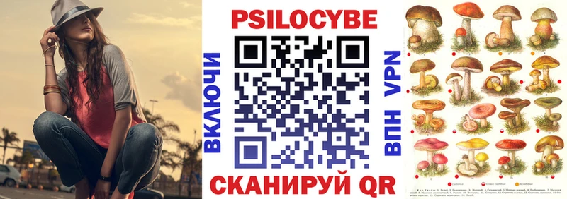 продажа наркотиков  Велиж  Галлюциногенные грибы Cubensis 
